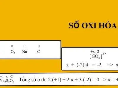 Quy tắc xác định số oxi hóa trong hóa học cơ bản hiệu quả