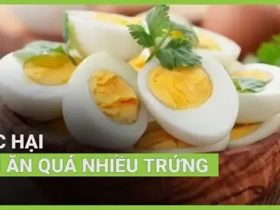 Tác hại ăn nhiều trứng và những hệ lụy khó ngờ cho sức khỏe