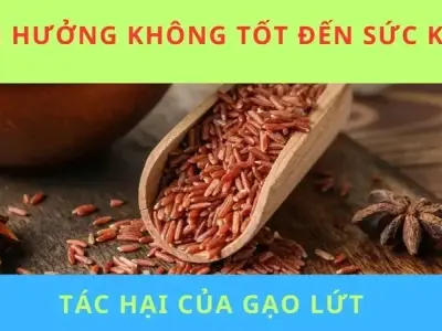 Tác hại của gạo lứt bạn cần biết để ăn đúng cách hàng ngày