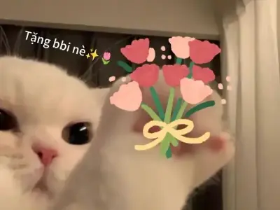 Meme mèo tặng hoa siêu dễ thương khiến dân mạng phì cười
