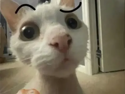 Meme thả thính hài hước hot nhất gây sốt cộng đồng mạng