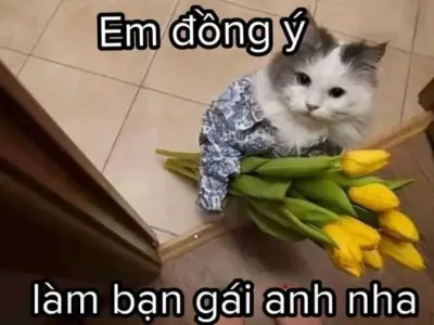 Meme tình yêu bùng nổ mạng xã hội khiến giới trẻ phát sốt