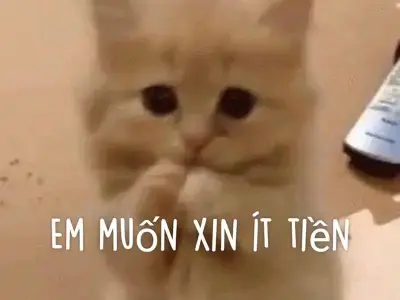 Những meme xin tiền vui nhộn đang gây sốt cộng đồng mạng