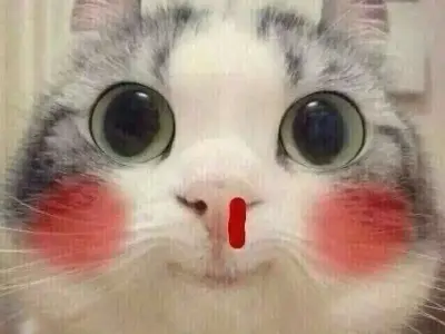 Top meme xịt máu mũi hài hước khiến dân mạng thích thú