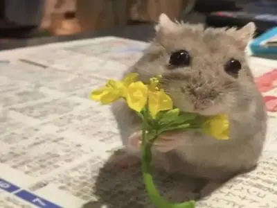 Meme yêu đời tích cực mang lại năng lượng hạnh phúc mỗi ngày