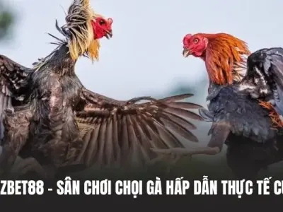 Đá Gà Azbet88 – Sân Chơi Chọi Gà Hấp Dẫn Thực Tế Cực Đỉnh