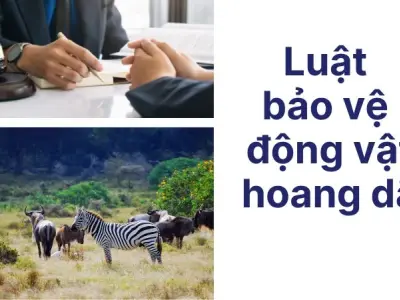 Luật bảo vệ động vật hoang dã và những án phạt đáng sợ