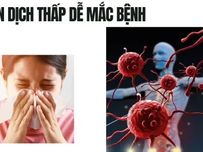 Tác hại nghiêm trọng của thiếu kẽm bạn không nên bỏ qua