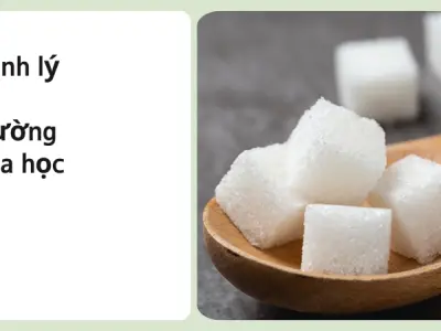 Cảnh báo- Đường hóa học tàn phá gan âm thầm như thế nào?