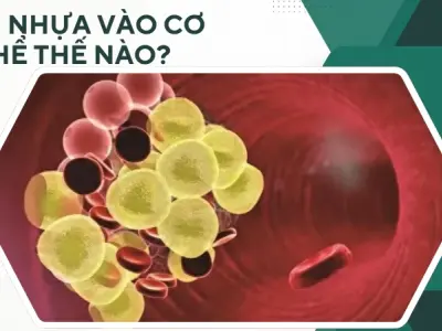 Sự thật rác thải nhựa và hiểm họa tiềm ẩn trong từng bữa ăn