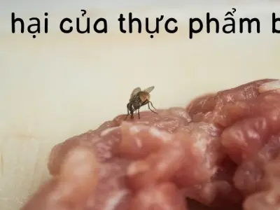 Tác hại của thực phẩm bẩn đối với sức khỏe con người
