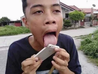 Bộ Sưu Tập Meme Chó Lè Lưỡi: Biểu Cảm Hài Hước Đốn Tim?