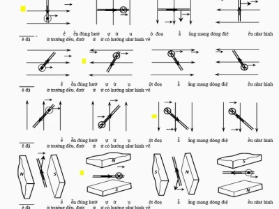 Giải Bài Tập Quy Tắc Bàn Tay Trái: Hướng Dẫn Chi Tiết Cho Học Sinh