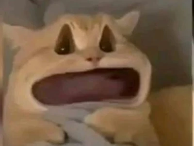 Meme Chó Lườm: Khi Ánh Mắt Biểu Cảm Nói Thay Lời
