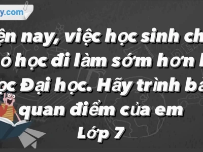 Phân tích chi tiết tác hại của việc nghỉ học sớm
