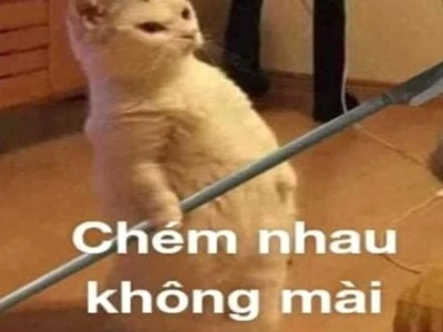 Tổng hợp 300+ Meme Đánh Đòn Hài Hước Nhất 2026