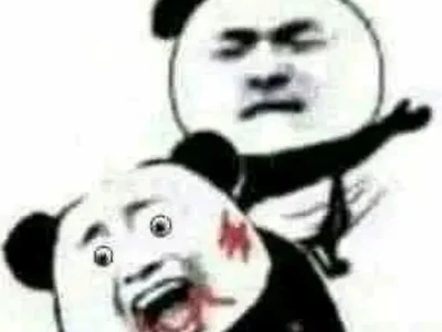 Tổng hợp ảnh meme gấu hài hước, độc đáo nhất 2026