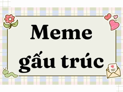 Tổng hợp meme gấu trúc hài hước và bựa lầy nhất 2026
