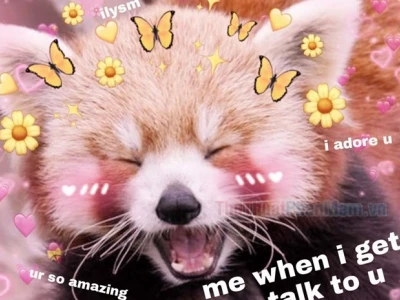 Tuyển tập meme yêu thương: Biểu cảm tình yêu dễ thương nhất 2026