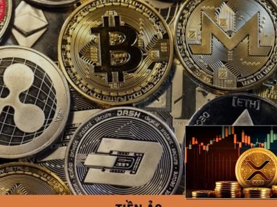 Giải đáp những câu hỏi về các loại tiền ảo phổ biến nhất năm 2026